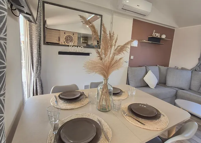 Le Coco Mobil 6-8 Personnes Piscines & 5 Etoiles Les Dunes * Torreilles